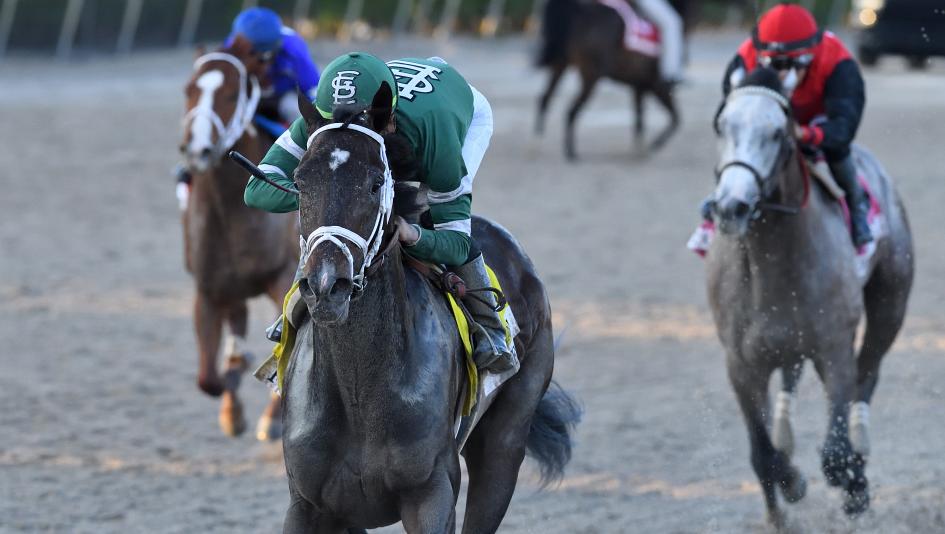 Forte, 2023 Kentucky Derby, Churchill Downs, Triple Crown, Top 3-year-olds, Thoroughbred poll